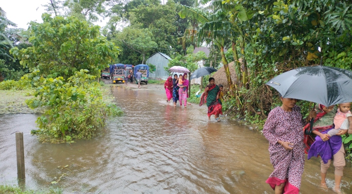 নেত্রকোনায় পাহাড়ি ঢল, তলিয়েছে নিম্নাঞ্চল 